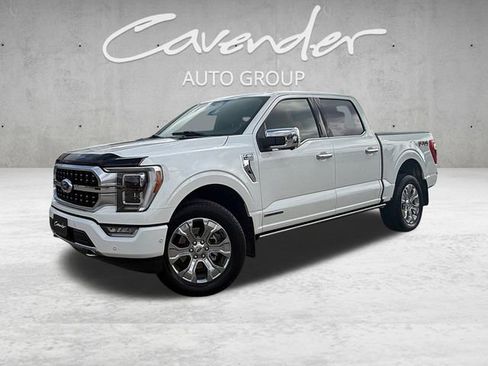 Used 2023 Ford F150 Platinum w/ Equipment Group 701A High AWD/4WD image 1