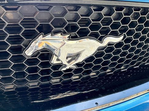 Used 2021 Ford Mustang GT Premium w/ Equipment Group 401A image 9