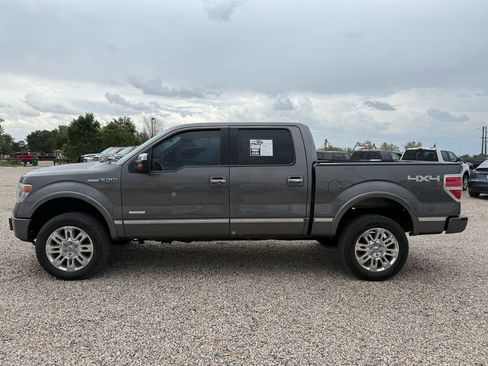 Used 2013 Ford F150 Platinum AWD/4WD image 6