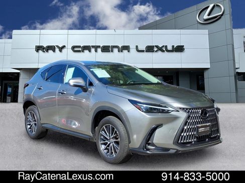 Certified 2024 Lexus NX 350 AWD w/ Cold Area Package image 3