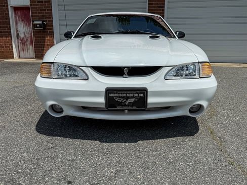 Used 1997 Ford Mustang Cobra RWD image 10