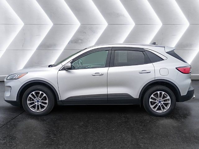 Used 2020 Ford Escape SE AWD/4WD image 3