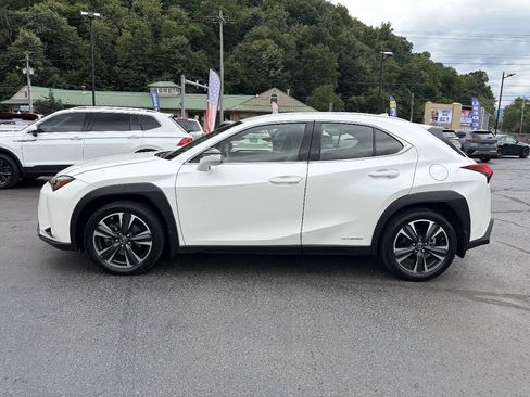 Used 2019 Lexus UX 250h w/ Premium Package AWD/4WD image 6