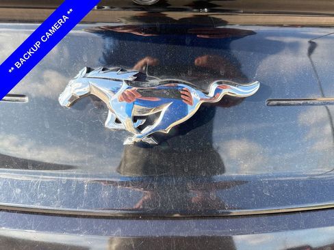 Used 2019 Ford Mustang Premium RWD image 8