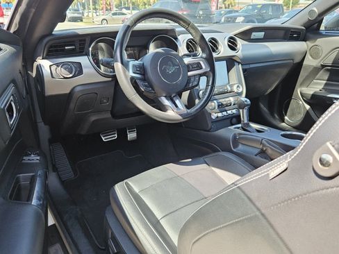 Used 2023 Ford Mustang Premium w/ Mustang Nite Pony Package image 4