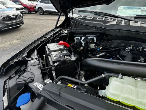 New 2025 Ford F150 XLT w/ Equipment Group 302A MID image 20