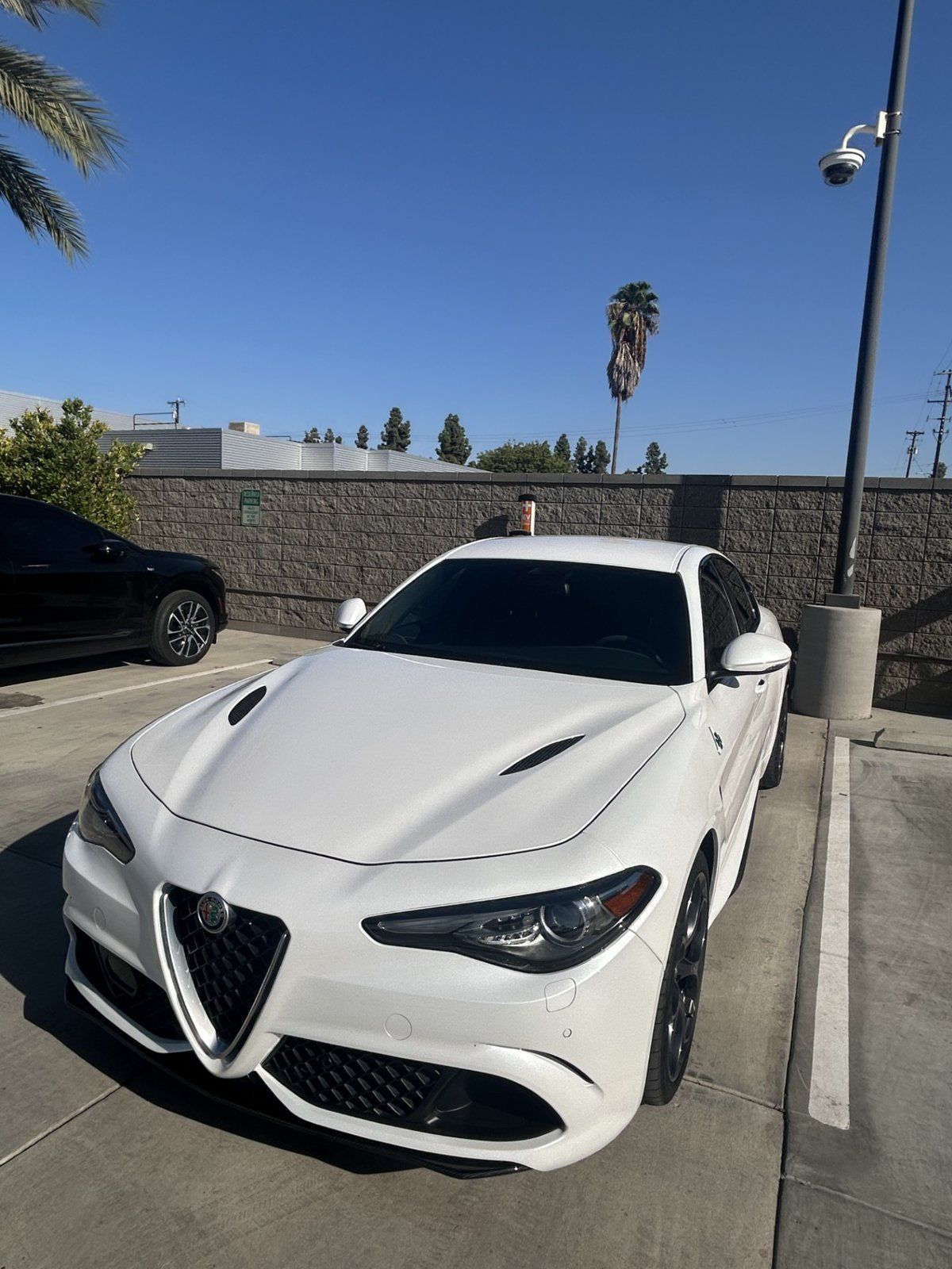 Used 2019 Alfa Romeo Giulia Quadrifoglio w/ Driver Assist Dynamic Package RWD image 1
