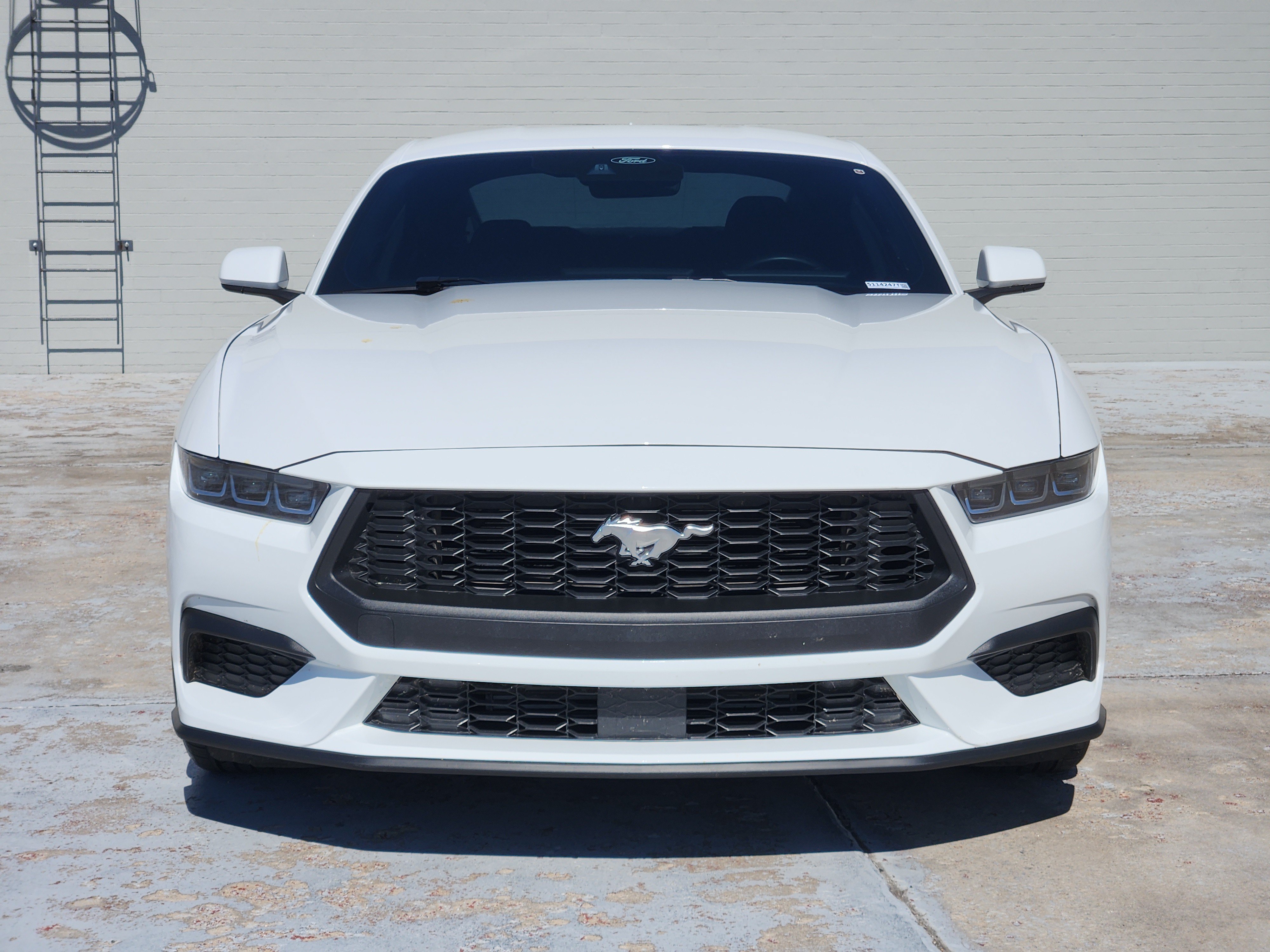 Used 2024 Ford Mustang Coupe RWD image 3