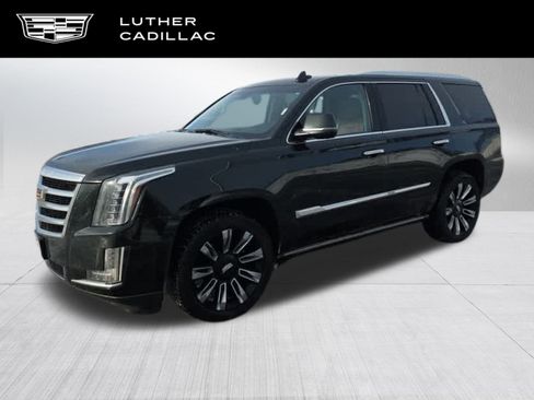 Used 2016 Cadillac Escalade Premium image 1