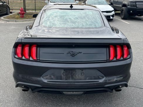 Used 2023 Ford Mustang Premium w/ Mustang Nite Pony Package image 7