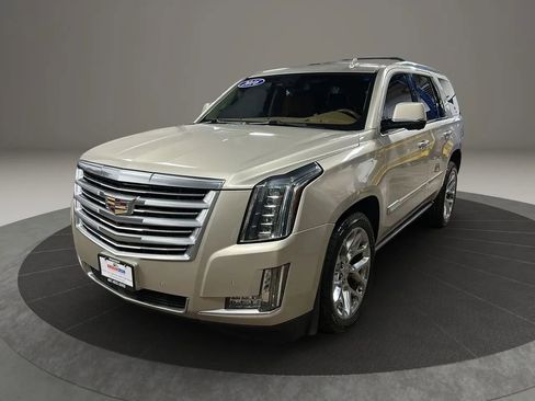 Used 2016 Cadillac Escalade Platinum image 1