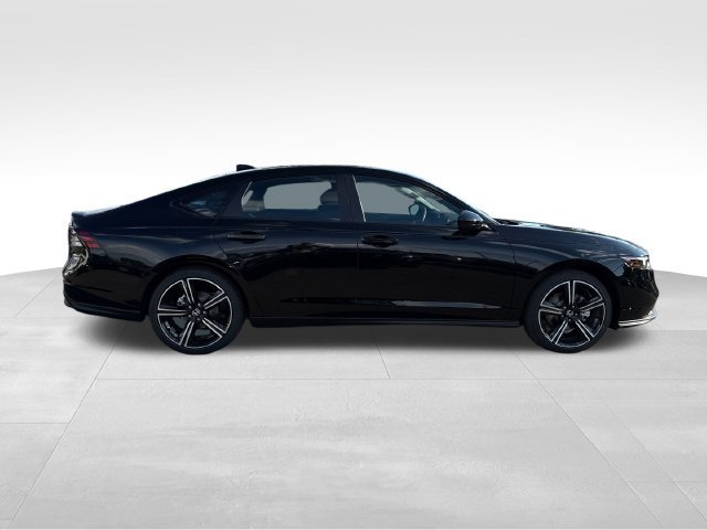 New 2026 Honda Accord Sport image 8