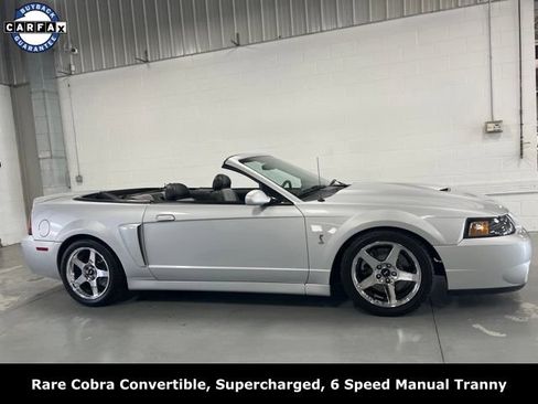 Used 2004 Ford Mustang Cobra RWD image 9
