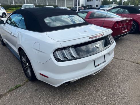 Used 2017 Ford Mustang Premium RWD image 10