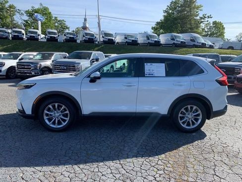Used 2024 Honda CR-V EX-L image 5
