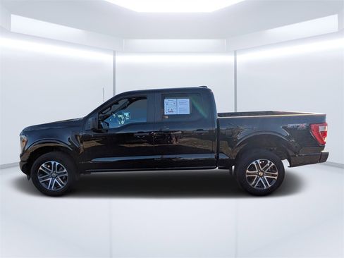 Used 2023 Ford F150 XL w/ XL STX Apperance Package image 6