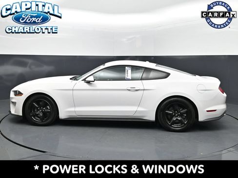 Used 2019 Ford Mustang Coupe RWD image 4