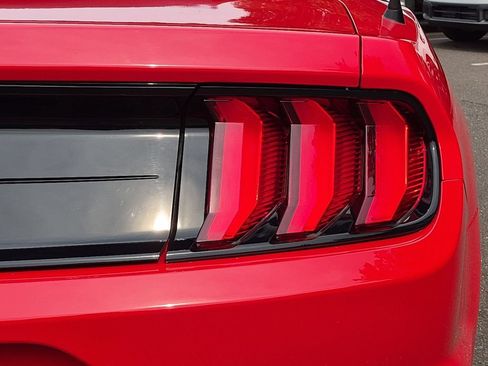 Certified 2019 Ford Mustang GT Premium w/ Ford Safe & Smart Package RWD image 13