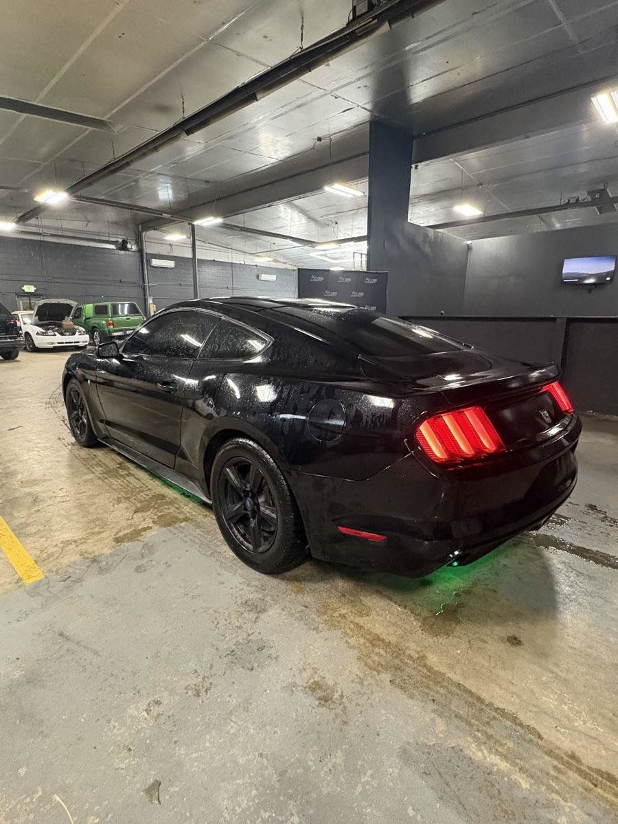 Used 2017 Ford Mustang Coupe RWD image 7