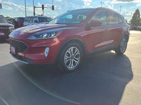 Used 2021 Ford Escape SEL image 5