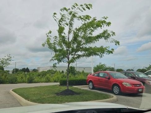 Used 2018 Nissan Rogue SL w/ Premium Package AWD/4WD image 11