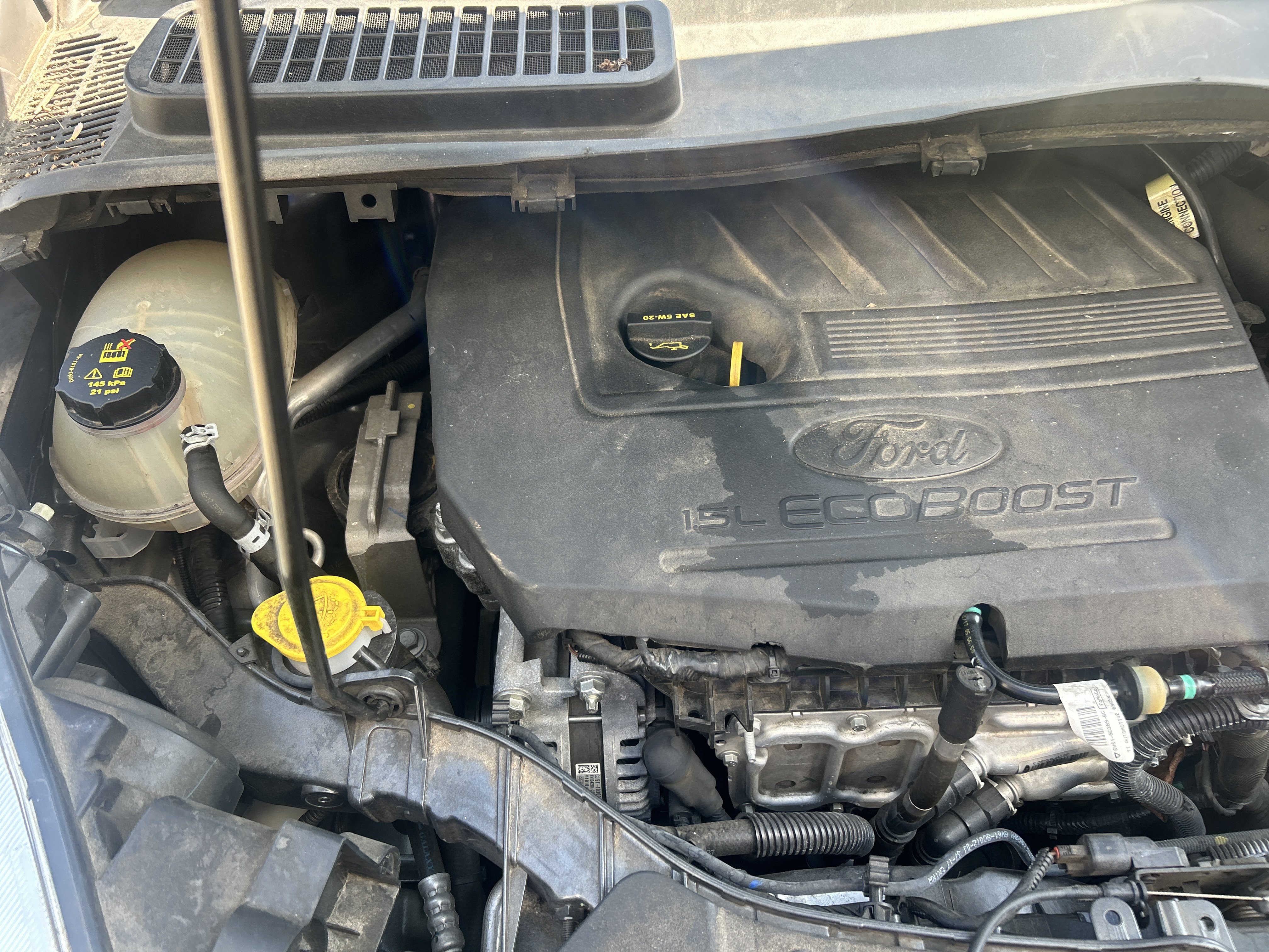 Used 2018 Ford Escape SE FWD image 52