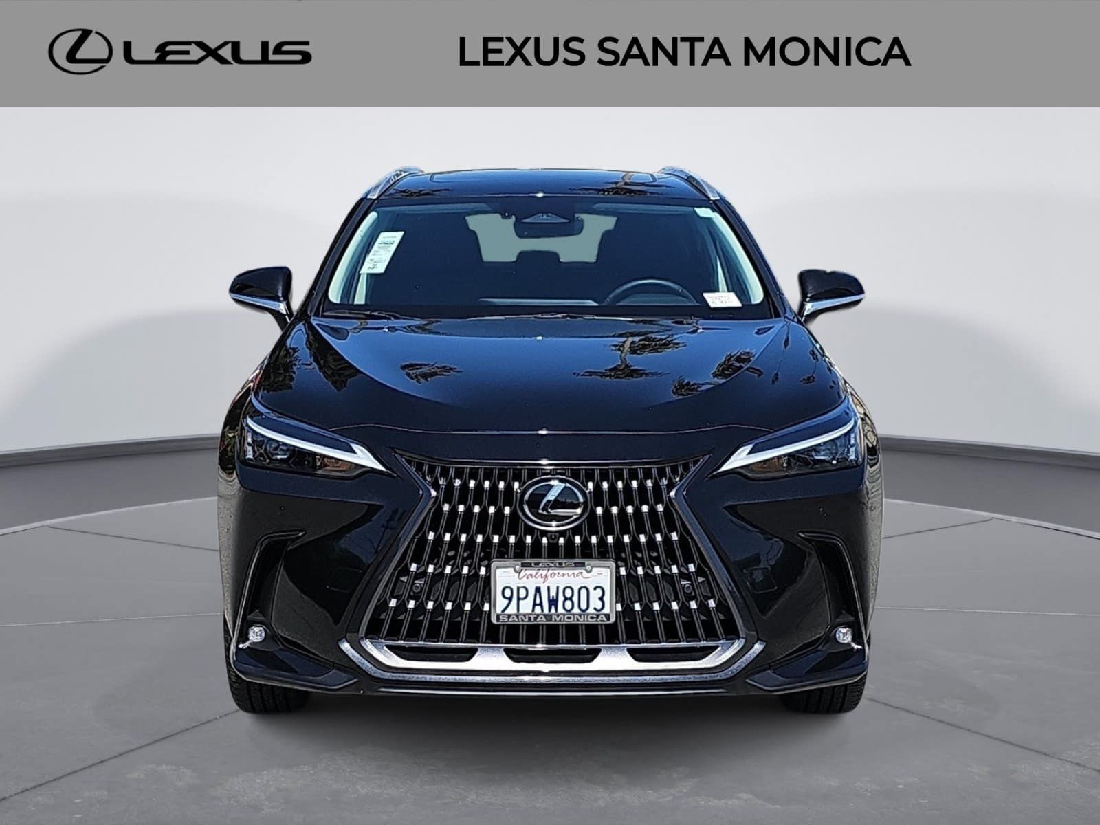 Used 2025 Lexus NX 350 AWD w/ Cold Area Package image 2