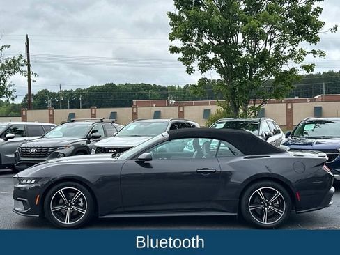 Used 2024 Ford Mustang Premium RWD image 3