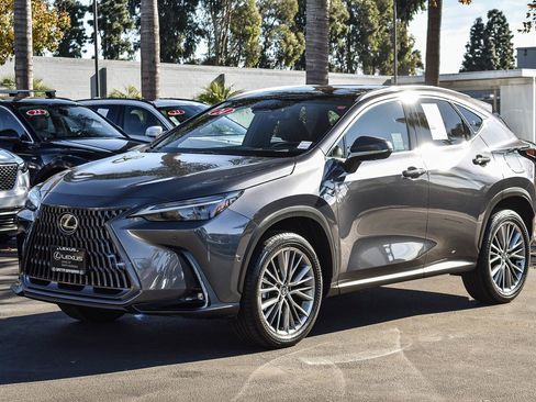 Used 2024 Lexus NX 300h 350h Luxury image 3