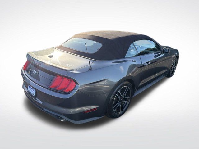 Used 2019 Ford Mustang Premium RWD image 6
