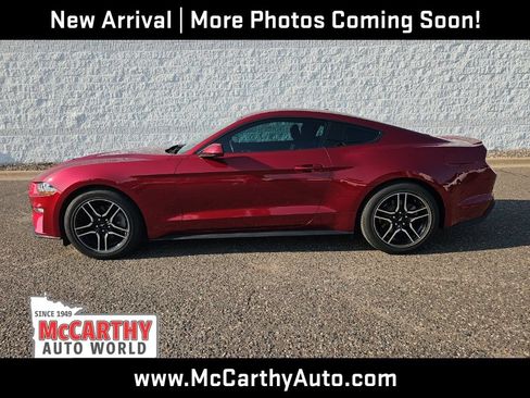Used 2019 Ford Mustang Coupe w/ Equipment Group 101A RWD image 7