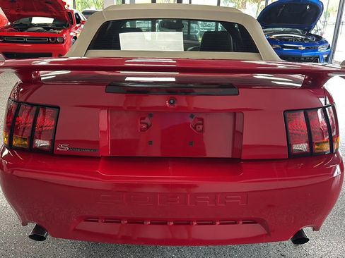 Used 1999 Ford Mustang Cobra RWD image 4