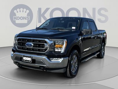 Certified 2023 Ford F150 XLT w/ Equipment Group 302A High