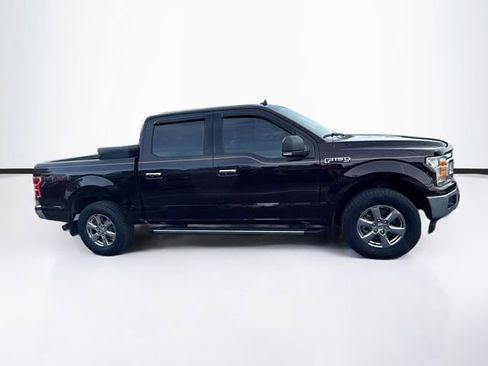 Certified 2019 Ford F150 XLT w/ Equipment Group 302A Luxury image 9