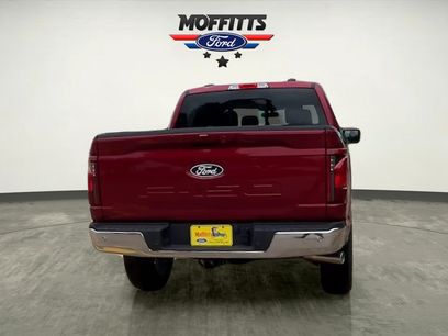 New 2026 Ford F150 XLT w/ Equipment Group 302A MID