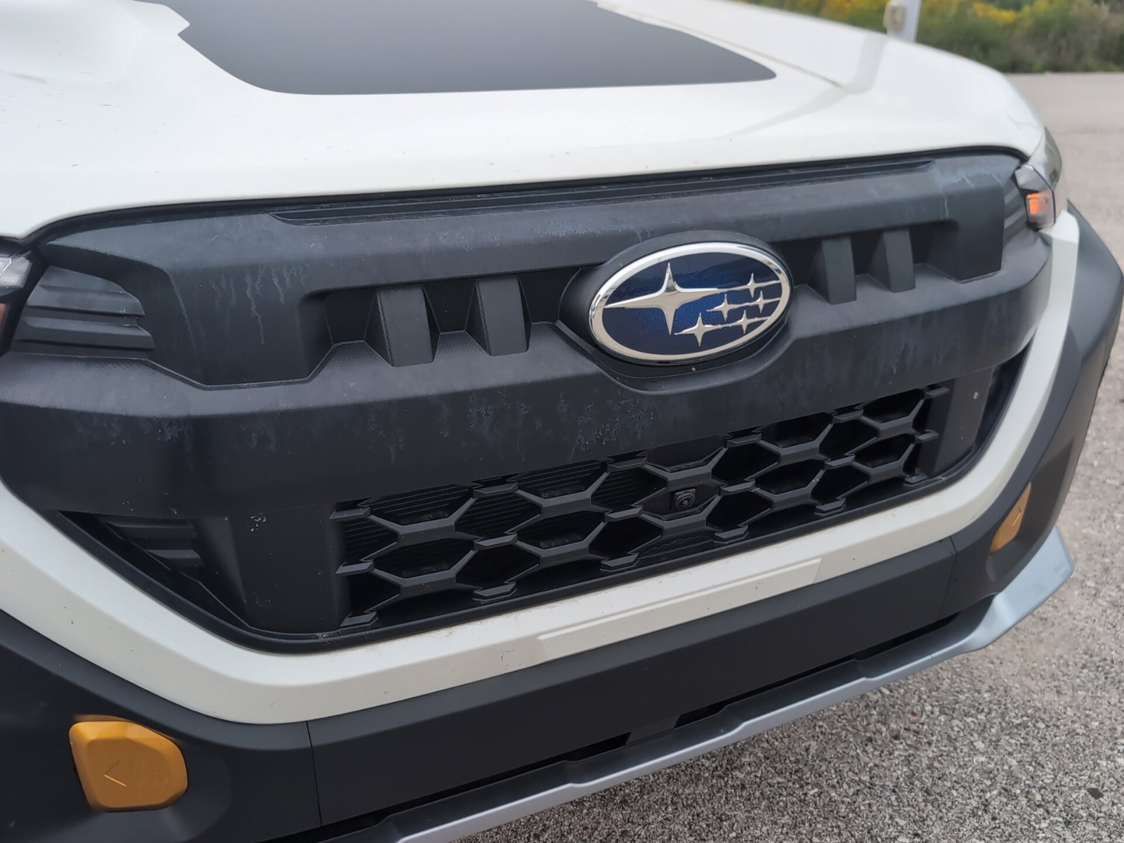 Certified 2026 Subaru Forester Wilderness AWD/4WD image 3