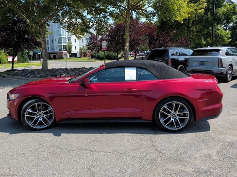 Used 2017 Ford Mustang Premium RWD image 6