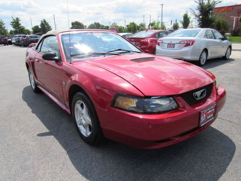 Used 2002 Ford Mustang Premium RWD image 8