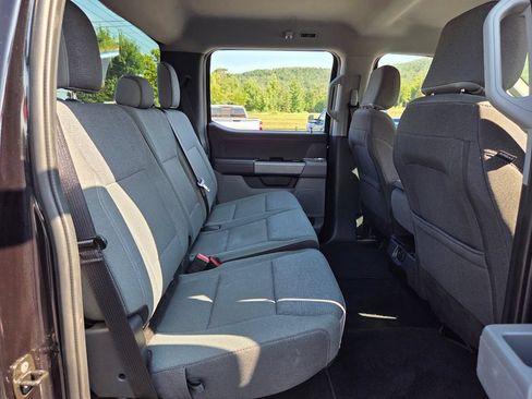 Used 2025 Ford F150 XLT w/ Equipment Group 301A Standard AWD/4WD image 13
