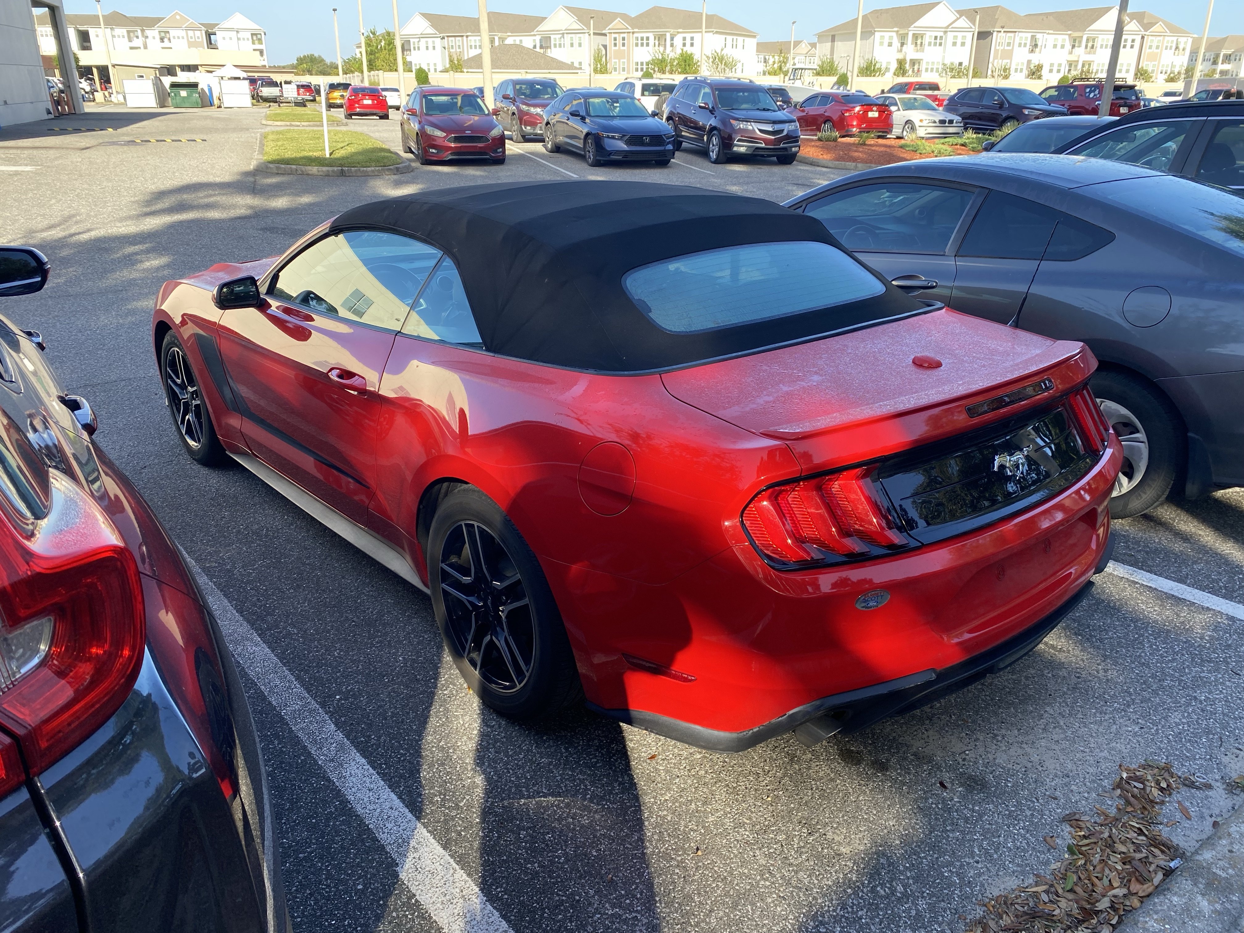 Used 2018 Ford Mustang Premium w/ Equipment Group 201A RWD image 20