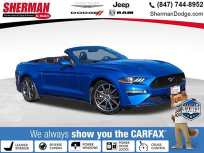Used 2019 Ford Mustang Premium w/ Equipment Group 201A