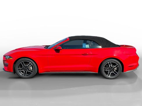 Used 2023 Ford Mustang Premium image 2