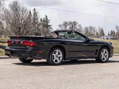 Used 1999 Pontiac Firebird Trans Am RWD image 3