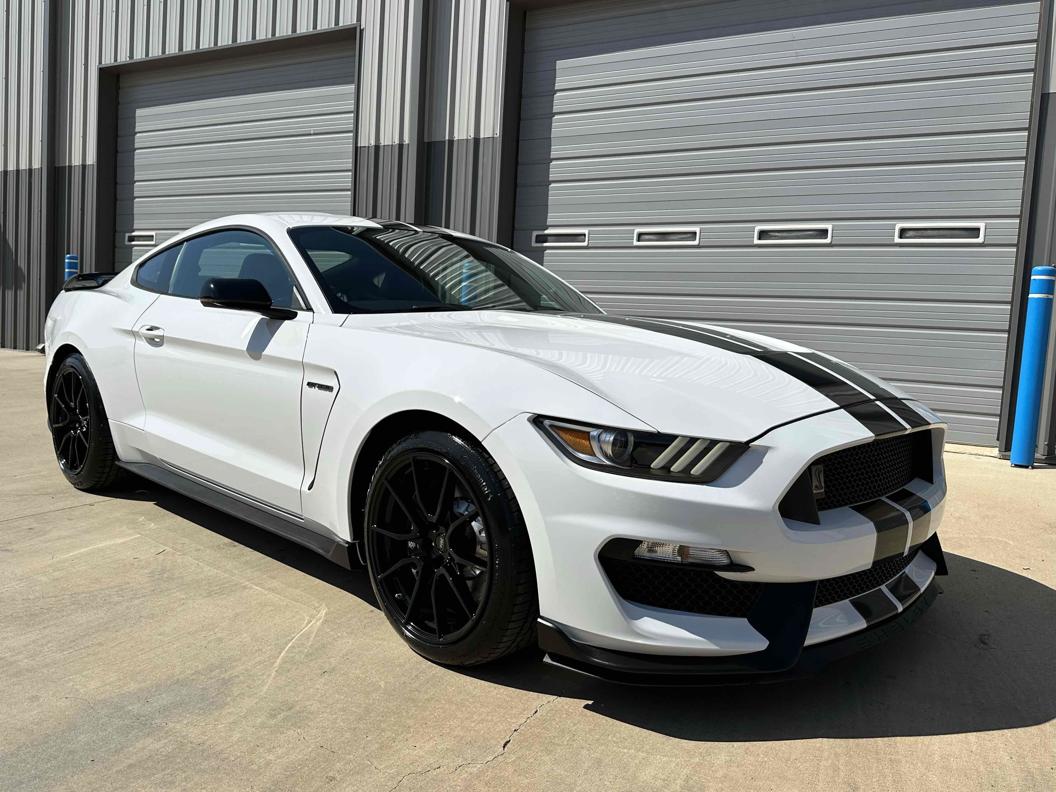 Used 2019 Ford Mustang Shelby GT350 w/ Technology Package RWD image 2