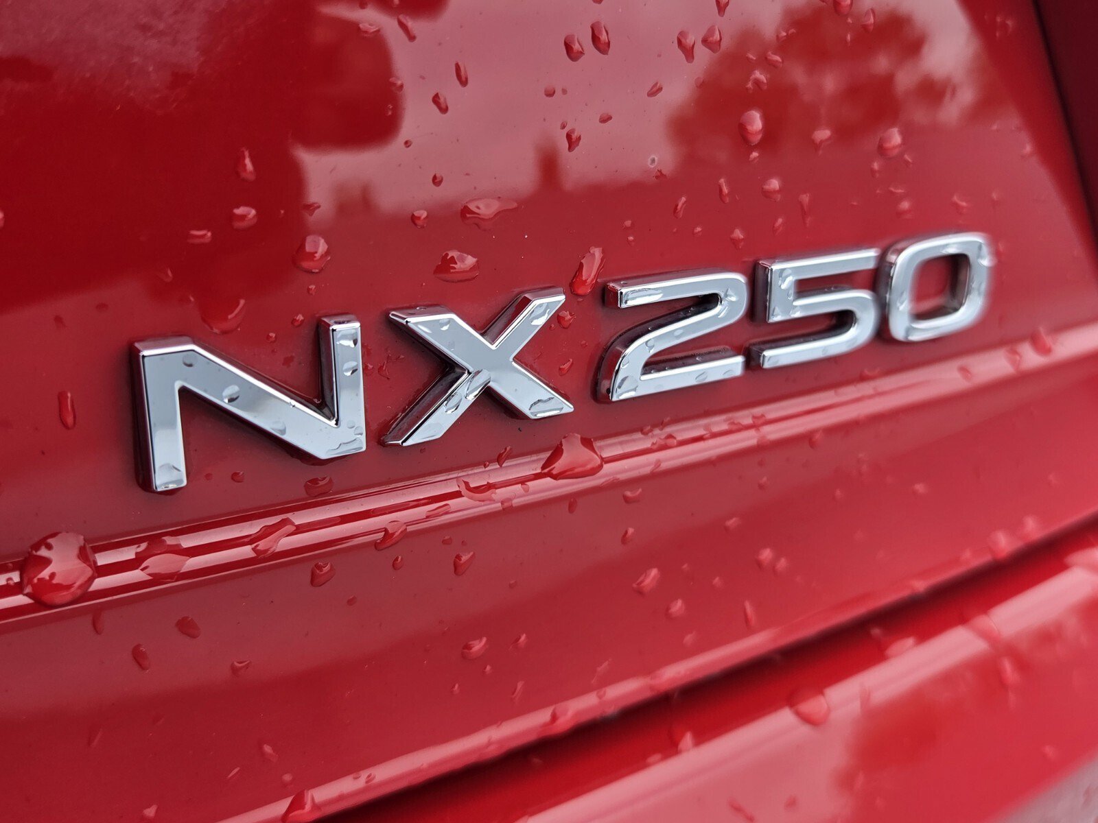 Used 2024 Lexus NX 250 FWD w/ Cold Area Package image 9