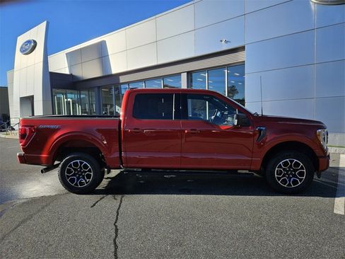 Used 2023 Ford F150 XLT w/ Equipment Group 302A High image 6