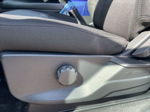 New 2026 Ford F150 STX w/ Equipment Group 200A image 13