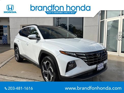 Used 2022 Hyundai Tucson Limited AWD/4WD image 1