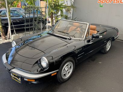 Used 1988 Alfa Romeo Spider Veloce