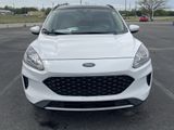 Used 2020 Ford Escape SE image 4